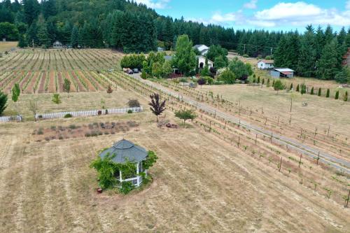 Eclectic Vineyard Home in Willamette Valley
