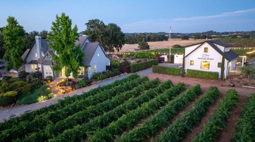 D'Stasio Vineyard