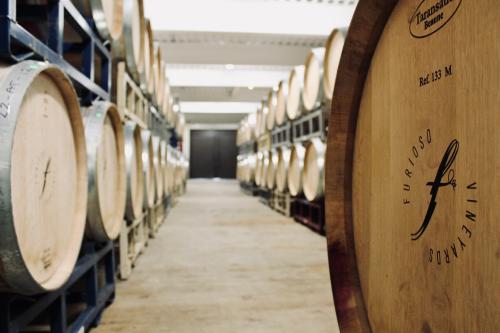 Wine Educator - Full Time