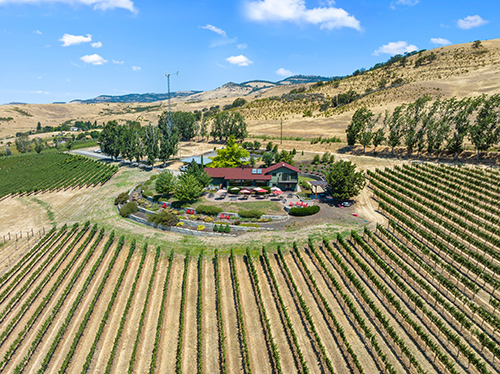 Dana Campbell Vineyards