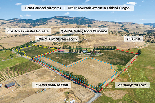 Dana Campbell Vineyards