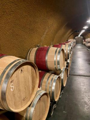 Very Clean Used French Oak Barrel