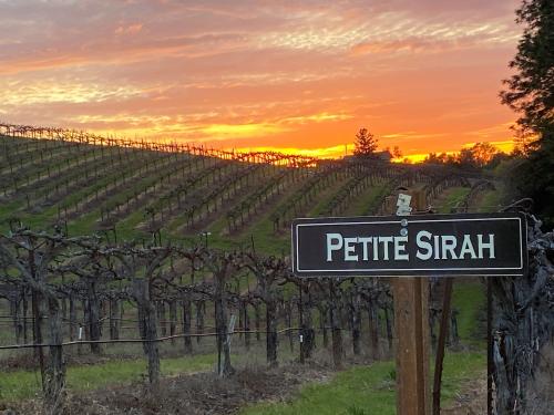 2025 CABERNET SAUV & CAB FRANC ++