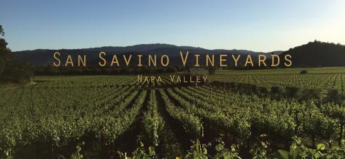 Yountville AVA Quality Merlot Grapes For Sale