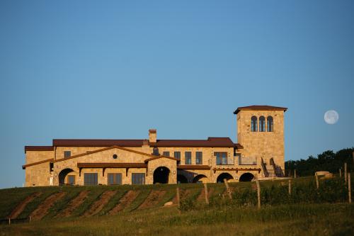 Head Winemaker