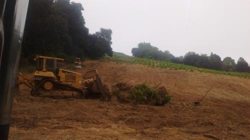 Vineyard Pulling/<wbr>Removal /<wbr> Ripping/<wbr> Developement
