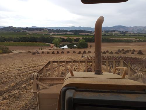 Vineyard Pulling/<wbr>Removal /<wbr> Ripping/<wbr> Developement