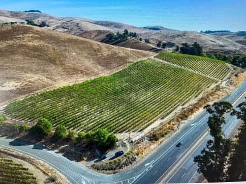 9.49 Acre Cabernet Sauvignon Vineyard