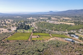 Winery/<wbr>Vineyard