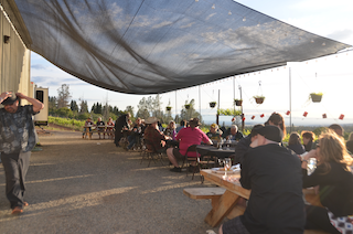 Winery/<wbr>Vineyard