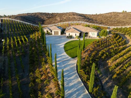 Temecula Wine Country ** ORGANIC Vineyard **