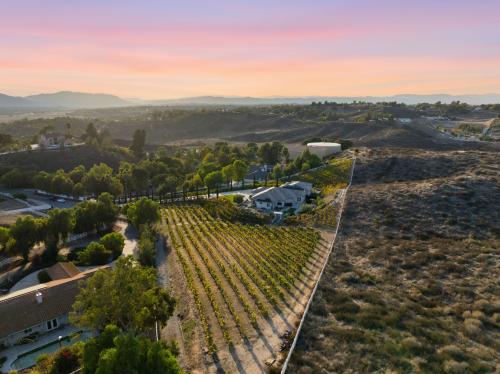 Temecula Wine Country ** ORGANIC Vineyard **