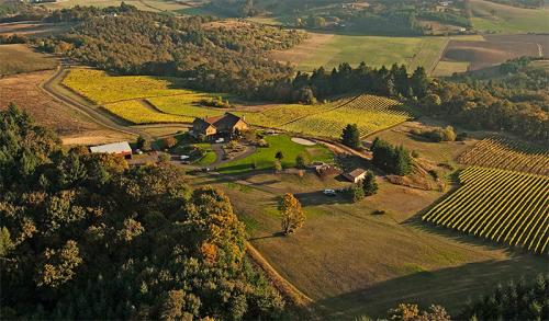 Youngberg Hill - Inn, Event Center and Vineyard