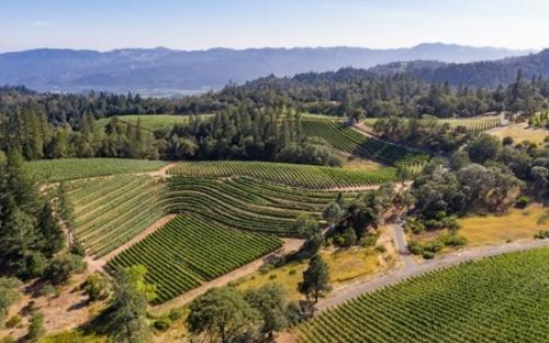 2026 Harvest Internship