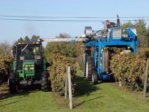 Chisholm Ryder Grape Harvester
