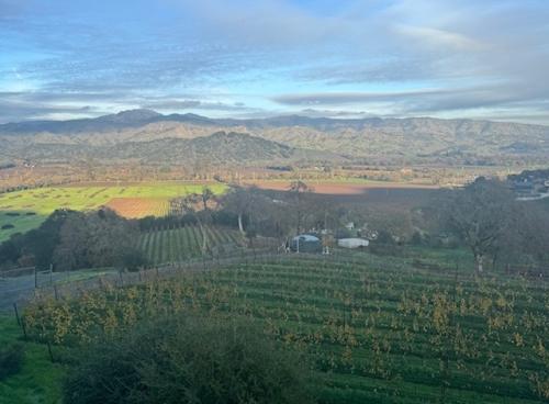 KEEVER VINEYARDS 2026 HARVEST CELLAR INTERNSHIP