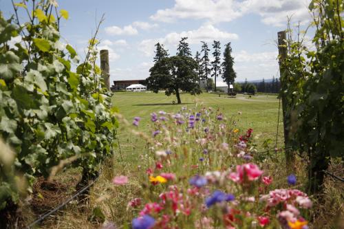 Stoller Reserve Winery - Harvest 2026