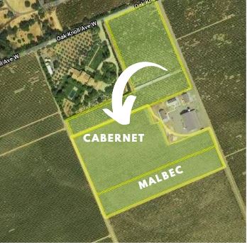 Farmed Organic Cabernet Sauvignon