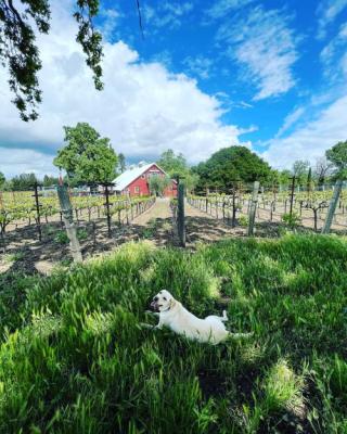 Seasonal Harvest Positions