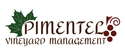 Estate and vineyards management
