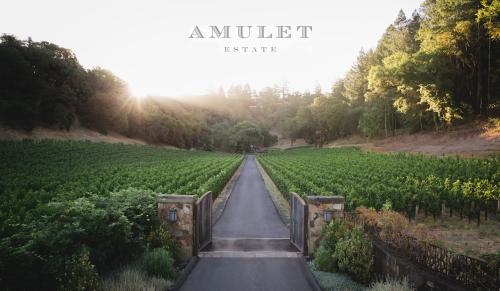 Director of Hospitality