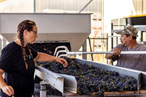 Premium, Fully Customized Custom Crush