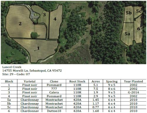 Premium Chardonnay - Lancel Creek Vineyard