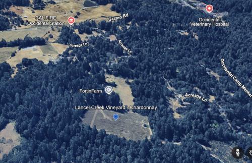 Premium Chardonnay - Lancel Creek Vineyard