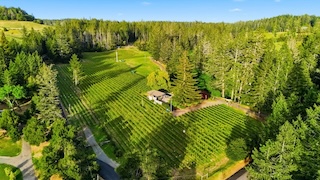 Howell Mountain Estate with Winery Permit