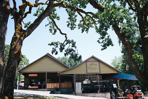 Harvest Cellar Internship