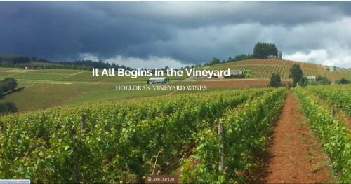 Harvest Intern at Holloran Vineyard Wines
