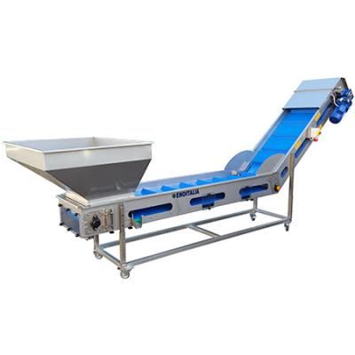 Grape Conveyor/<wbr>Loading/<wbr>Sorter
