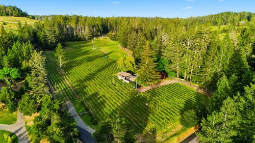 Howell Mountain Estate with Winery Permit