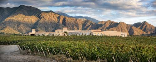 Georgia State Sales Manager Piattelli Vineyards