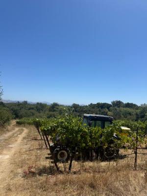 RRV - PINOT NOIR - Santa Rosa