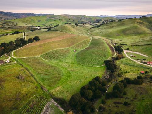 Groundstar Vineyard &ndash; Limited 2026 Sta. Rita Hills