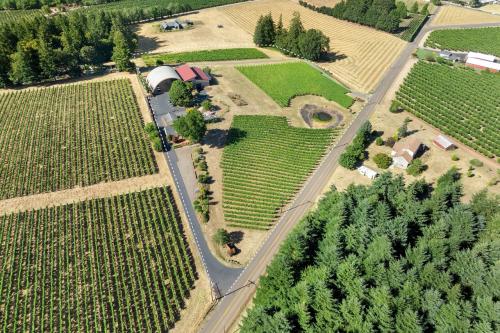 Eola-Amity AVA - Winery, Vineyard & Tasting Room