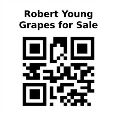 Robert Young Chardonnay