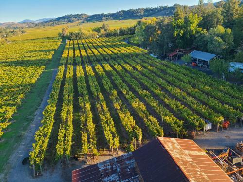 Russian River Valley Chardonnay Available