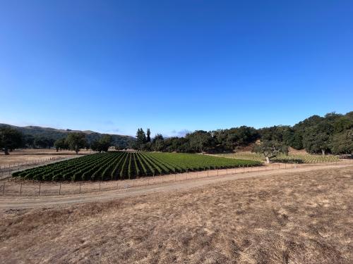 CCOF Organic Santa Cruz Foothills Pinot Noir