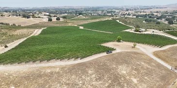 Premium Paso Robles Wine Grapes &mdash; 2026 Harvest