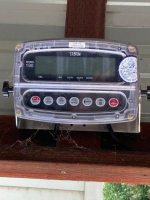 Fruit Scale