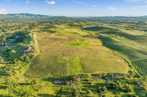 Brokenrock Vineyard Estate among Napa's best