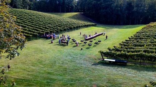 Vineyard Manager